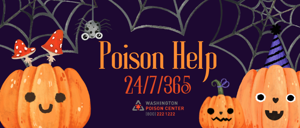 Poison Center highlights the risks of childhood lead poisoning