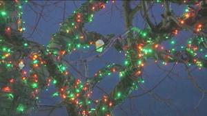 5bfdcc39d7692imagejpg | Fox 11 Tri Cities Fox 41 Yakima