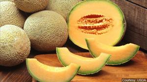 Two deaths now reported from Salmonella outbreak, CDC expands cantaloupe recall