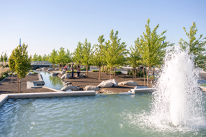 62abd8f6e2bf4imagepng | Fox 11 Tri Cities Fox 41 Yakima