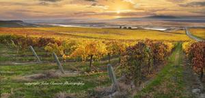 Thurston Wolfe Winery holding event featuring master photographer