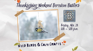 655fc30b23606imagepng | Fox 11 Tri Cities Fox 41 Yakima