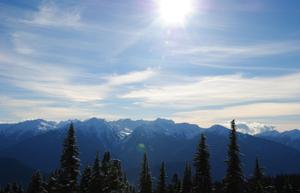 6266bb56a5baeimagejpg | Fox 11 Tri Cities Fox 41 Yakima