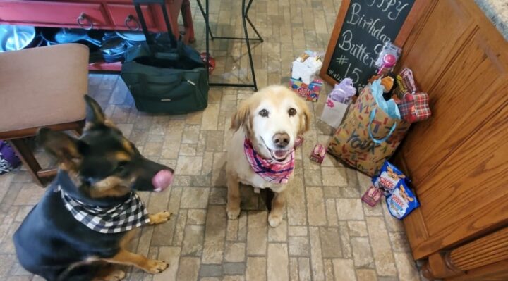 MissyMasterson-720x399jpg | Fox 11 Tri Cities Fox 41 Yakima