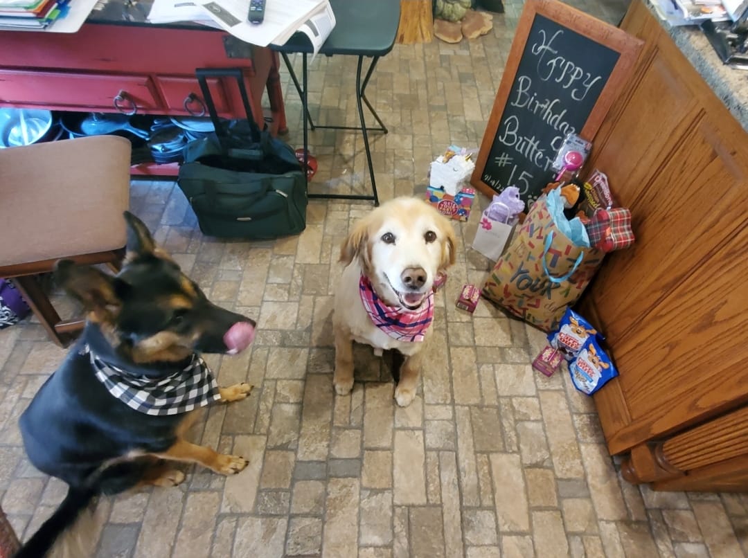 MissyMasterson | FOX 28 Spokane