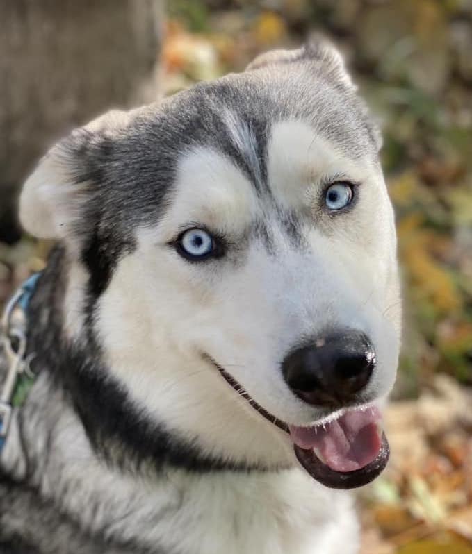 StineTheede | FOX 28 Spokane