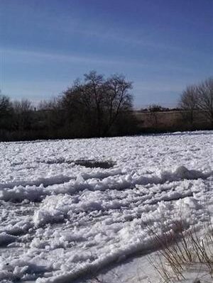 5bfdcba9913a8imagejpg | Fox 11 Tri Cities Fox 41 Yakima