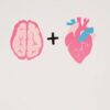 This is your brain on love: How the emotion changes the mind