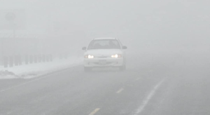 65b2ceb950337imagepng | Fox 11 Tri Cities Fox 41 Yakima