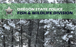 Oregon State Police looking for Umatilla County elk poachers
