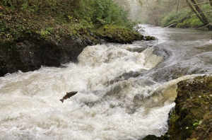 65ce8badc126aimagepng | Fox 11 Tri Cities Fox 41 Yakima