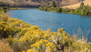 Yakama Nation awarded $2 million for river cleanup efforts