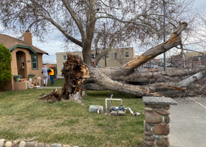 65db942a61ecaimagepng | Fox 11 Tri Cities Fox 41 Yakima