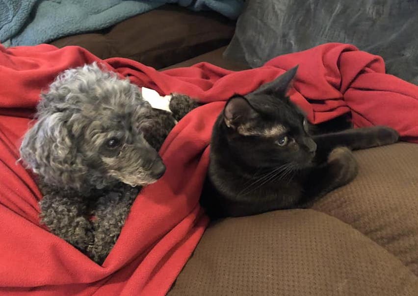 AliBlakney | FOX 28 Spokane