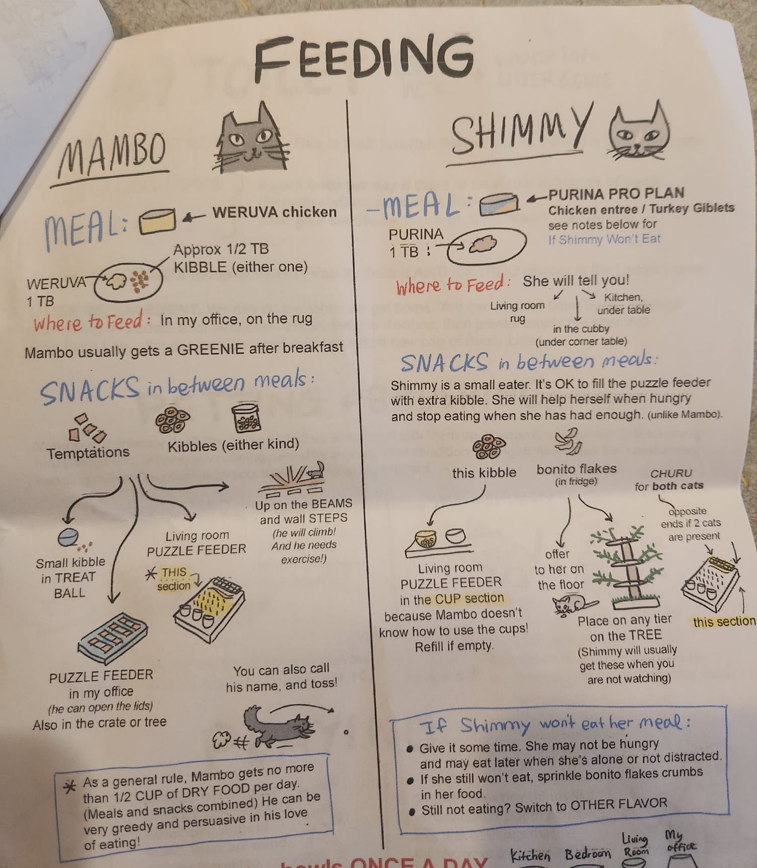 LiliChin | FOX 28 Spokane