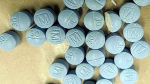 6299353dce2f0imagejpg | Fox 11 Tri Cities Fox 41 Yakima