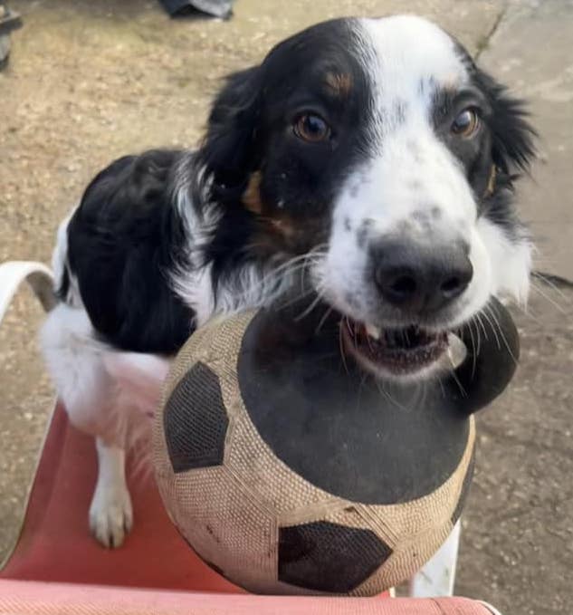 AmyCowley | FOX 28 Spokane