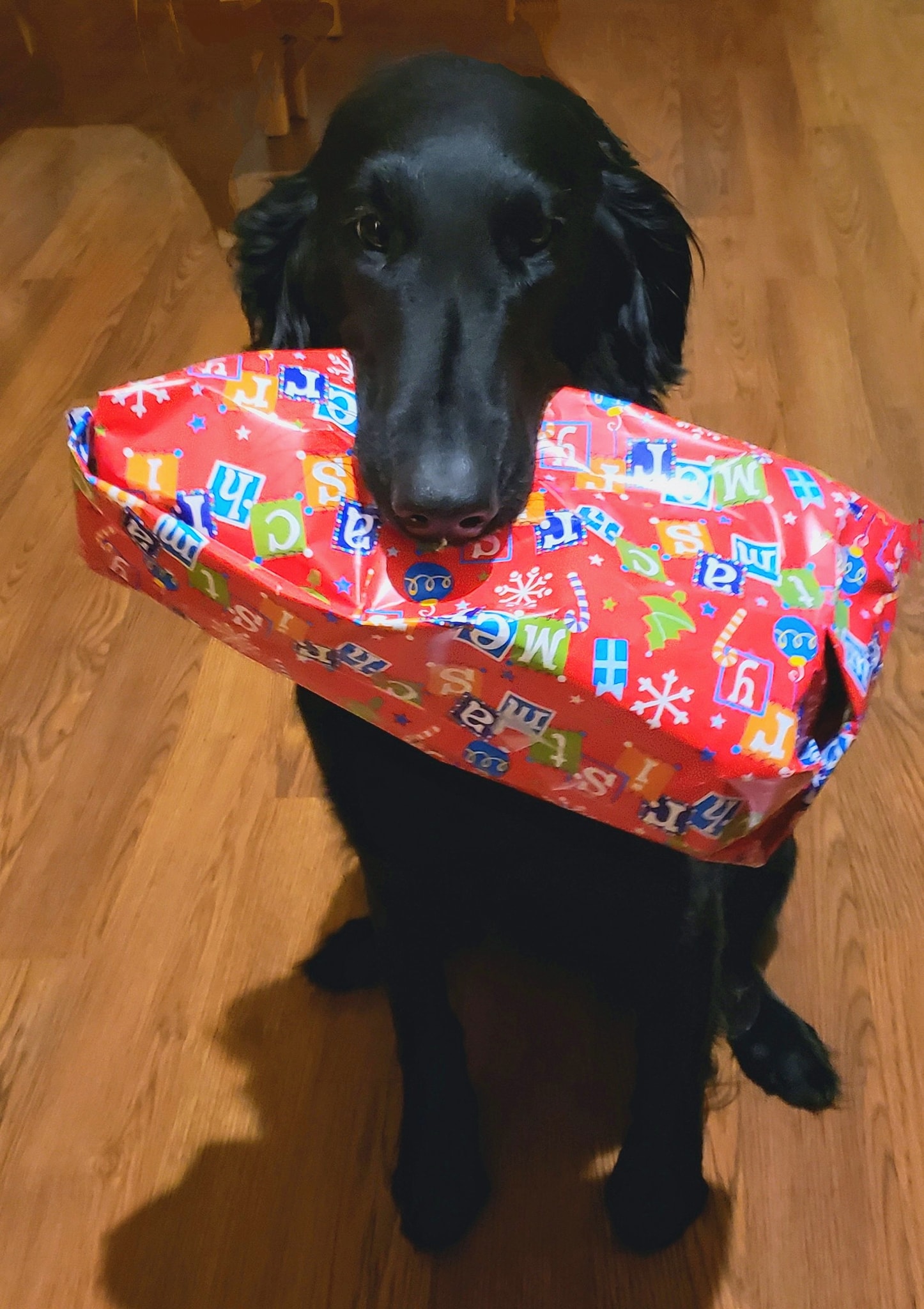 AmySuggars | FOX 28 Spokane