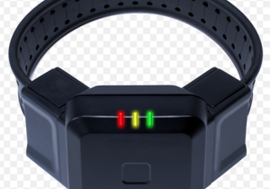 WA Lawmaker: Ankle monitor could have prevented West Richland double-murder