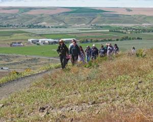 662af99a8325fimagejpg | Fox 11 Tri Cities Fox 41 Yakima