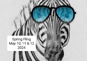 Walla Walla Area Spring Fling coming May 10, will feature hot air balloon rides