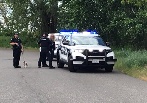 Woman points gun at multiple people in West Richland, faces assault charges