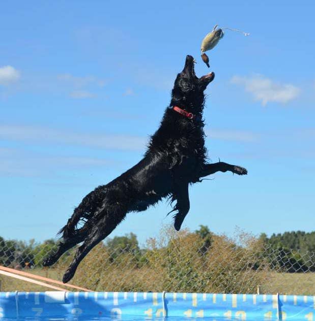 JillGibs | FOX 28 Spokane