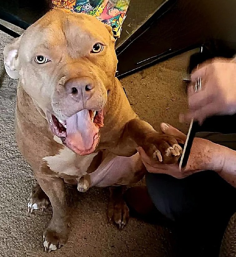 RiseVanFleetNails | FOX 28 Spokane