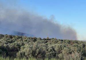 Wildland fire burning 45 acres of natural grasses south of Finley
