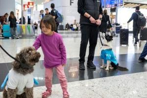 Turkey therapy dogs join Istanbul Airport staff