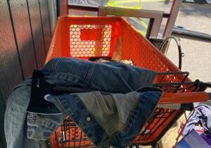 Kennewick Police arrest woman for assault with hatchet