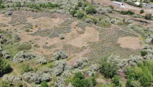 6644ce1434dcfimagepng | Fox 11 Tri Cities Fox 41 Yakima