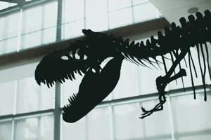 First ‘warm-blooded’ dinosaurs emerged 180 million years ago