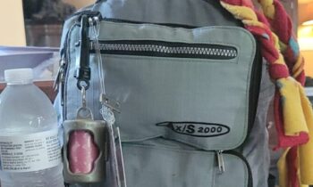 WHAT’S IN YOUR PET’S GO BAG?