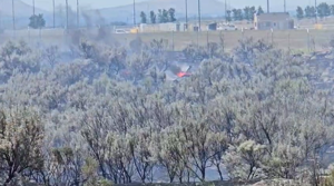 66639500620d8imagepng | Fox 11 Tri Cities Fox 41 Yakima