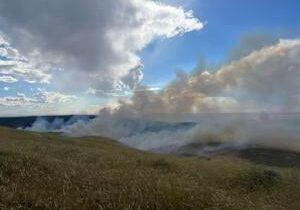 No injuries reported in 250-acre fire on Neff Road in Prescott, state resource mobilized