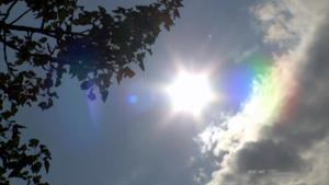 Beat the heat by conserving energy in your home