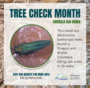 66bf9882aaa63imagepng | Fox 11 Tri Cities Fox 41 Yakima