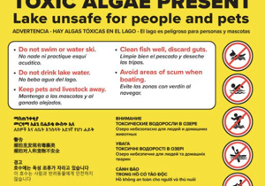 Toxic algae detected in Snake River near Charbonneau Park