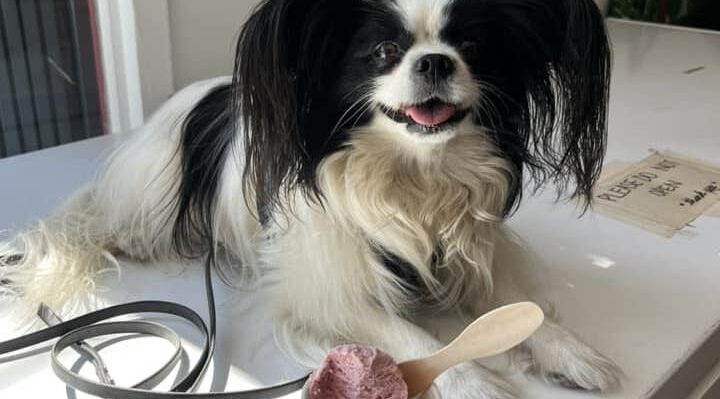 AlishaArdianaC-720x399jpg | Fox 11 Tri Cities Fox 41 Yakima