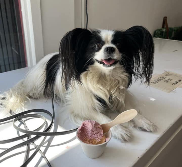 AlishaArdianaC | FOX 28 Spokane