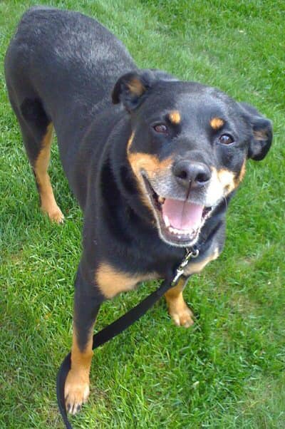 ChristineHaleVertucci Chyna | FOX 28 Spokane