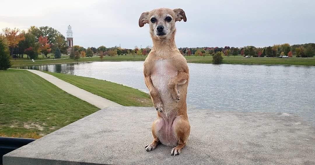 ErinSaywellSeeker | FOX 28 Spokane