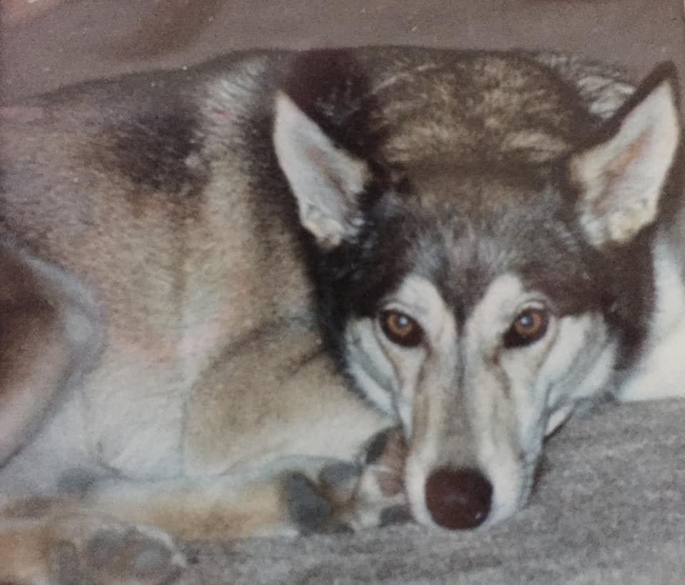 GwenJones | FOX 28 Spokane