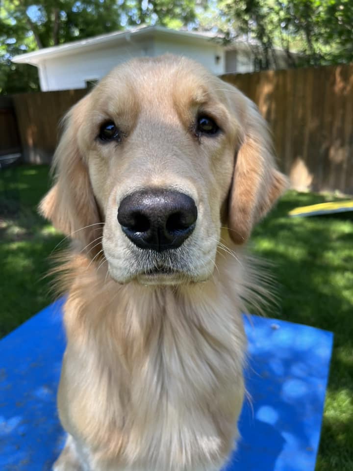 JillGibbsIan | FOX 28 Spokane