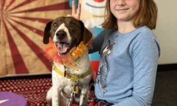 HOW DID YOU DECIDE WHAT TO NAME YOUR PET? (PART TWO)