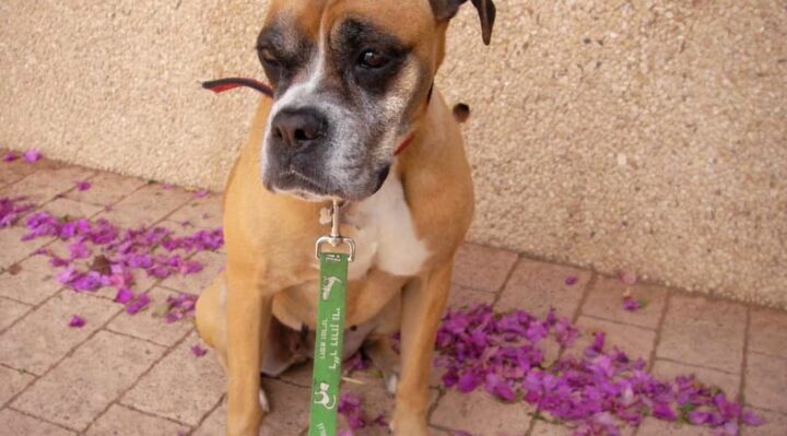 SoshannahForbesJulie-720x399jpg | Fox 11 Tri Cities Fox 41 Yakima