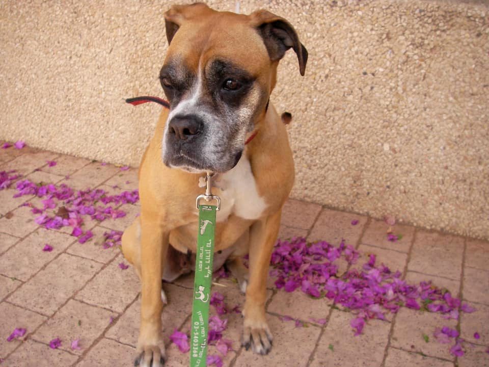 SANYO DIGITAL CAMERA | FOX 28 Spokane