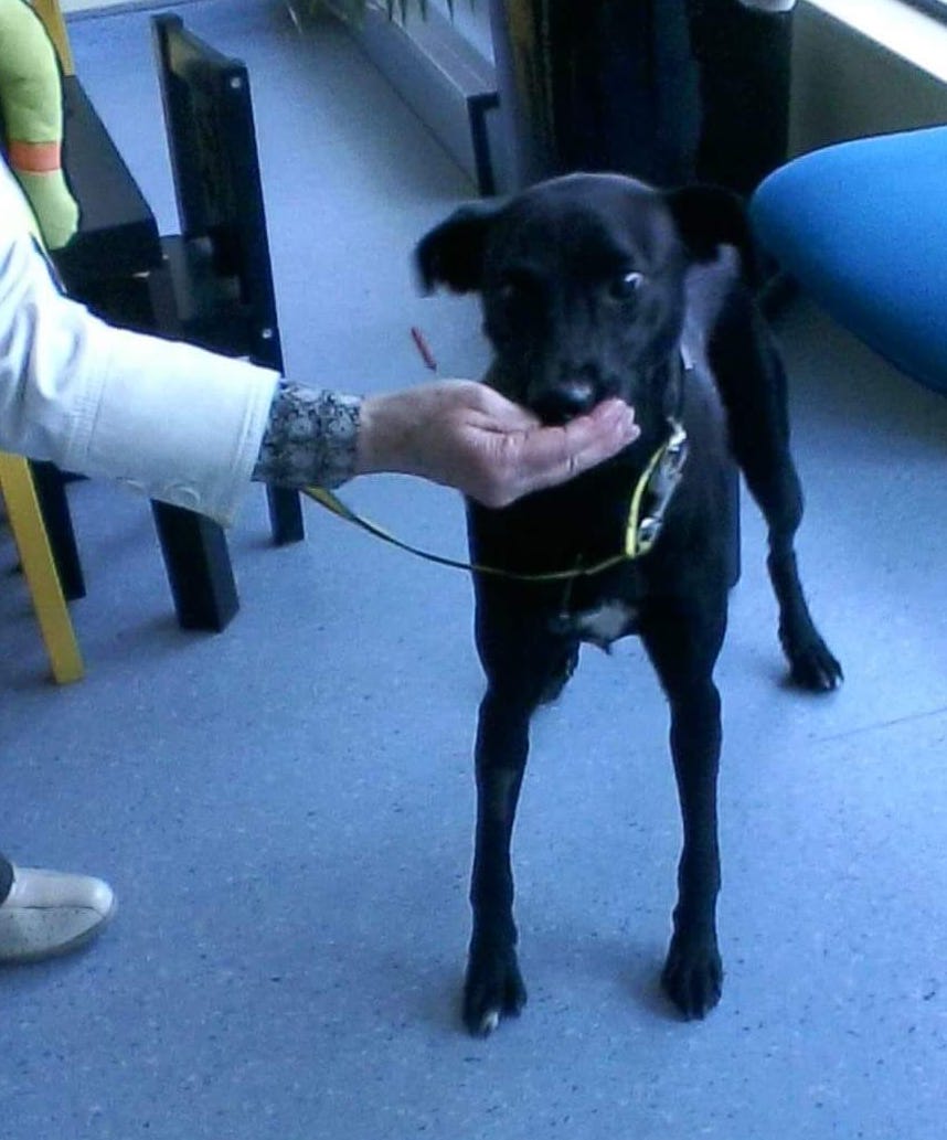 ThereseMaloneKalli | FOX 28 Spokane