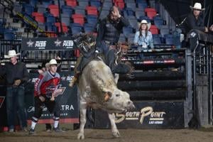 66de261fbe9e2imagejpg | Fox 11 Tri Cities Fox 41 Yakima